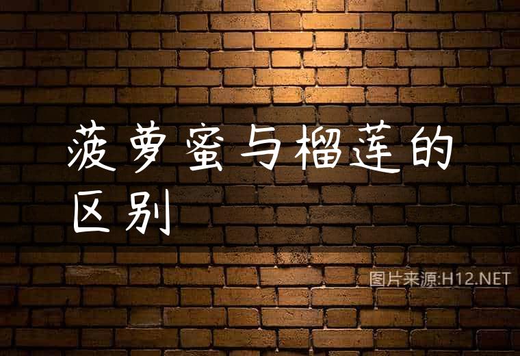 菠萝蜜与榴莲的区别