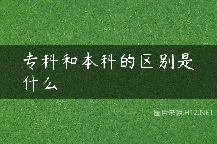 专科和本科的区别是什么