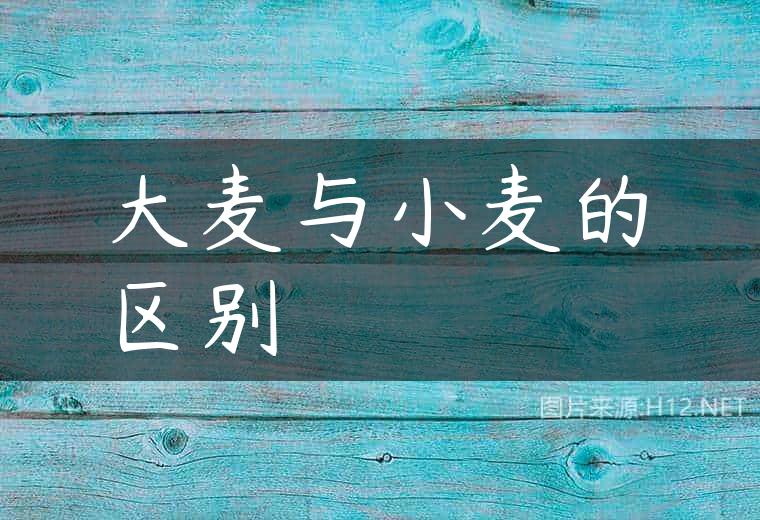 大麦与小麦的区别