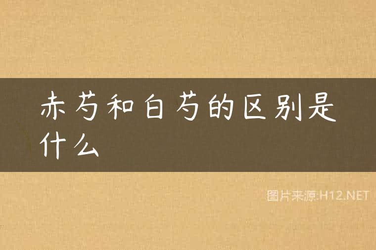 赤芍和白芍的区别是什么