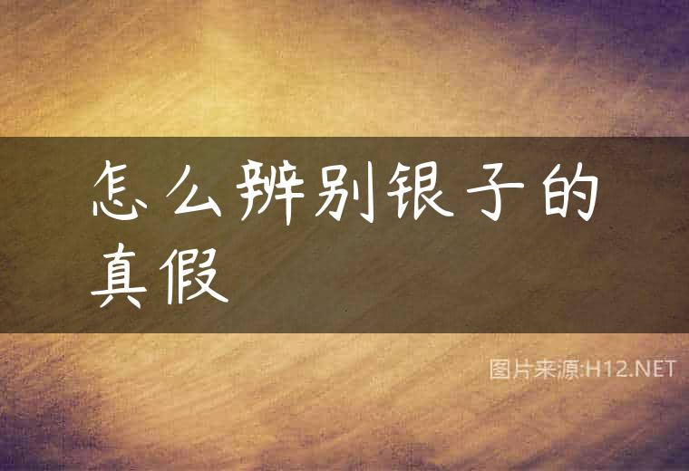 怎么辨别银子的真假