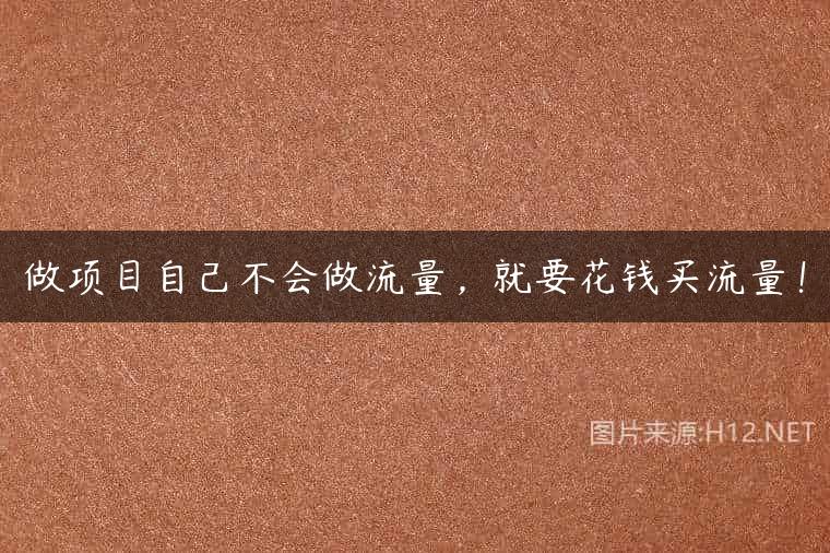 做项目自己不会做流量，就要花钱买流量！