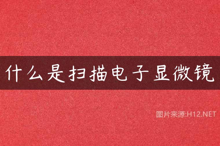 什么是扫描电子显微镜