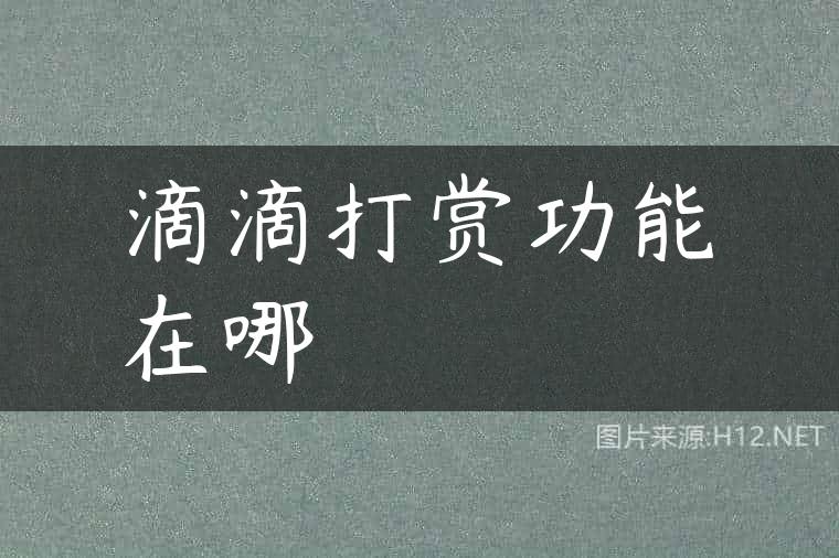 滴滴打赏功能在哪