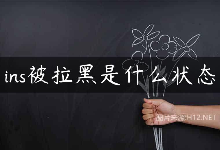 ins被拉黑是什么状态