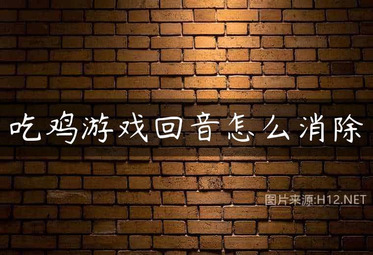 吃鸡游戏回音怎么消除