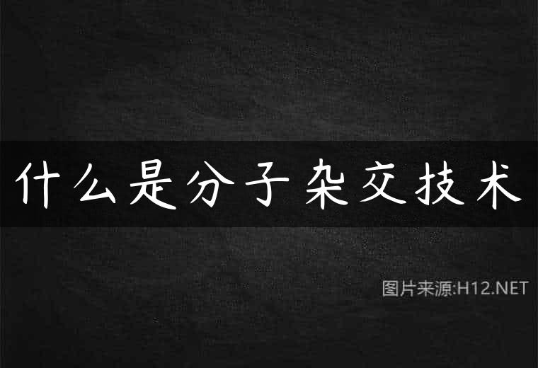 什么是分子杂交技术