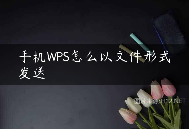 手机WPS怎么以文件形式发送
