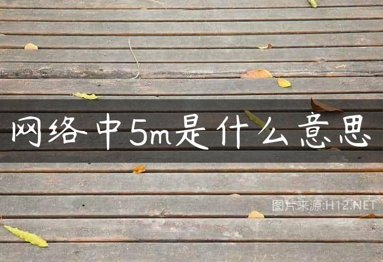 网络中5m是什么意思