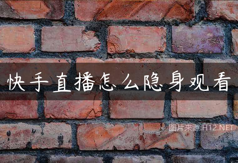 快手直播怎么隐身观看