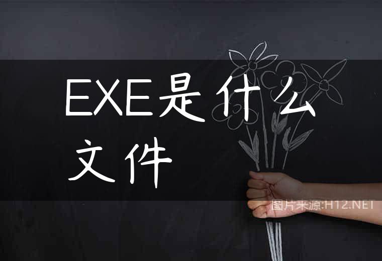 EXE是什么文件