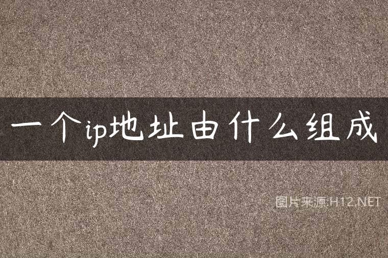 一个ip地址由什么组成