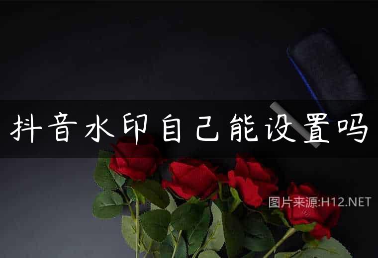 抖音水印自己能设置吗