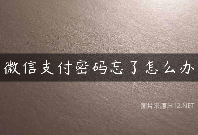 微信支付密码忘了怎么办