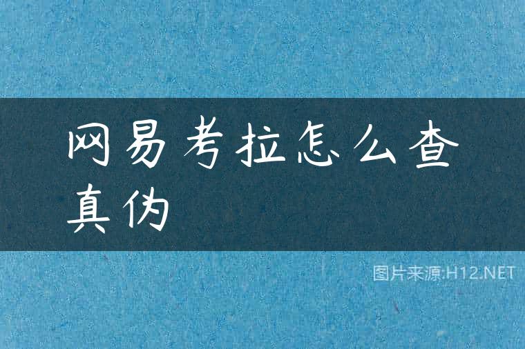 网易考拉怎么查真伪