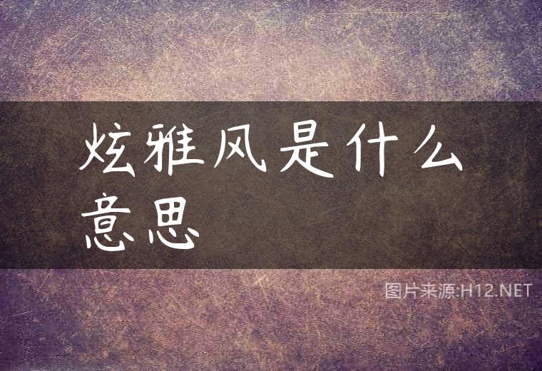 炫雅风是什么意思