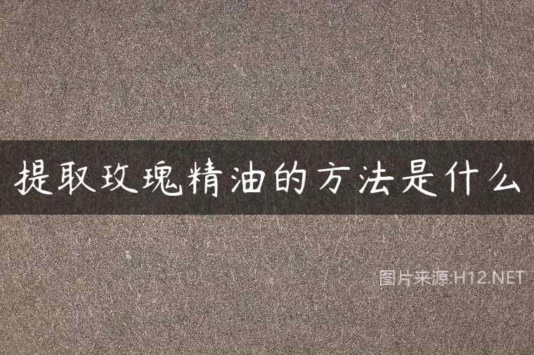 提取玫瑰精油的方法是什么