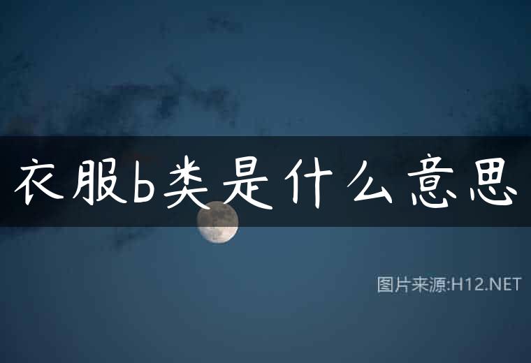 衣服b类是什么意思
