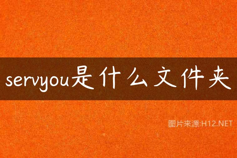 servyou是什么文件夹