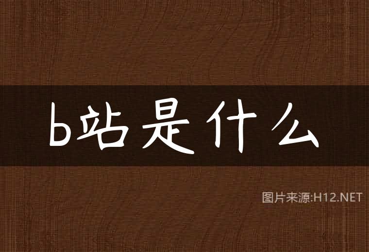 b站是什么