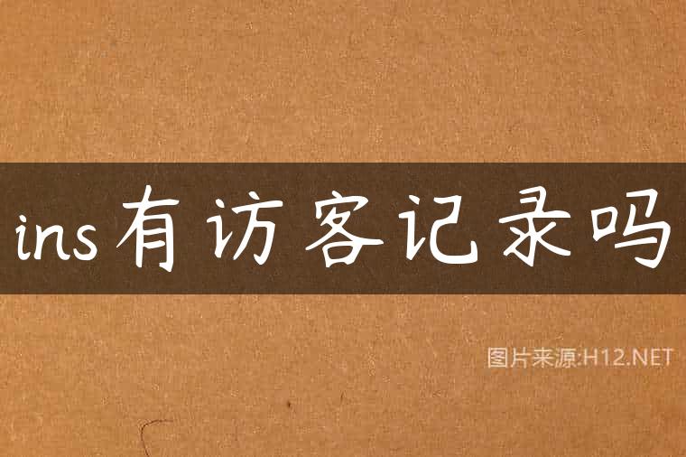 ins有访客记录吗