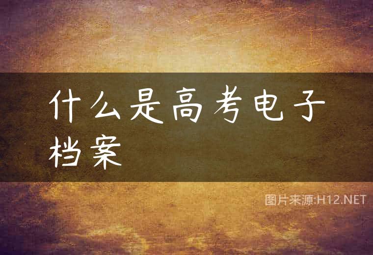 什么是高考电子档案