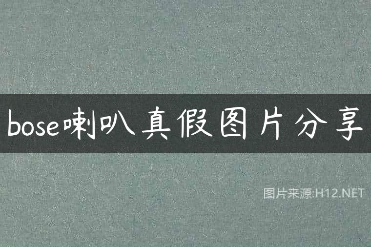 bose喇叭真假图片分享