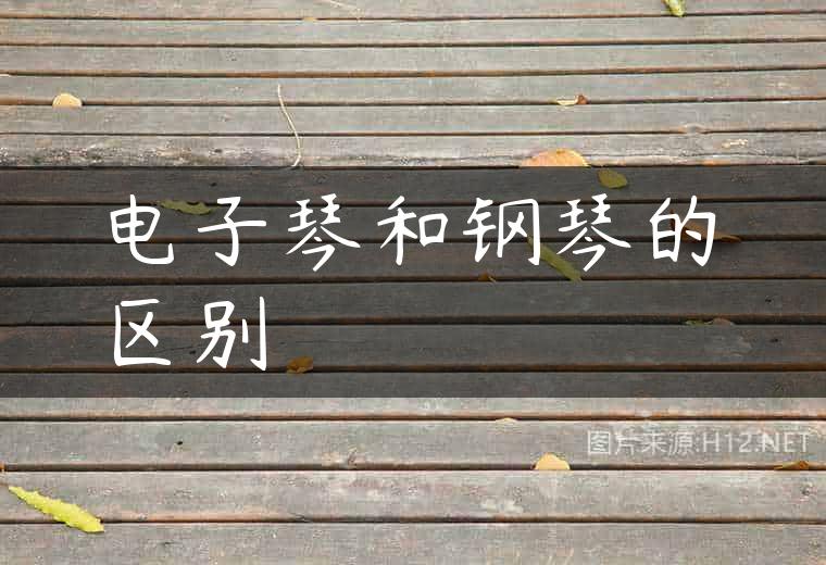 电子琴和钢琴的区别