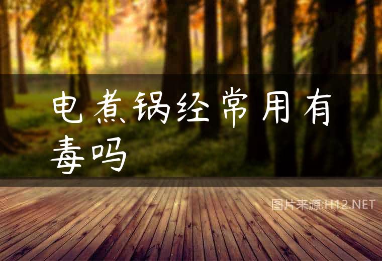 电煮锅经常用有毒吗