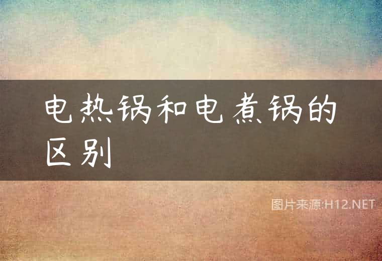 电热锅和电煮锅的区别