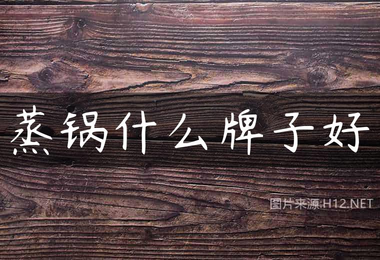 蒸锅什么牌子好