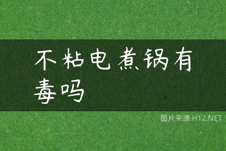 不粘电煮锅有毒吗