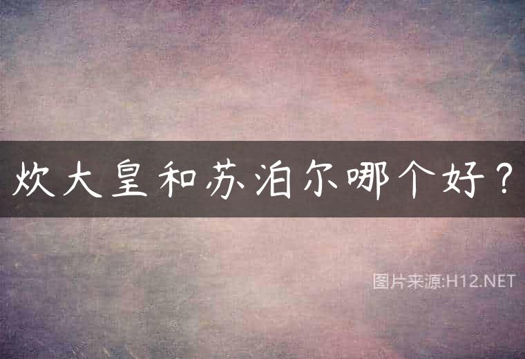 炊大皇和苏泊尔哪个好？