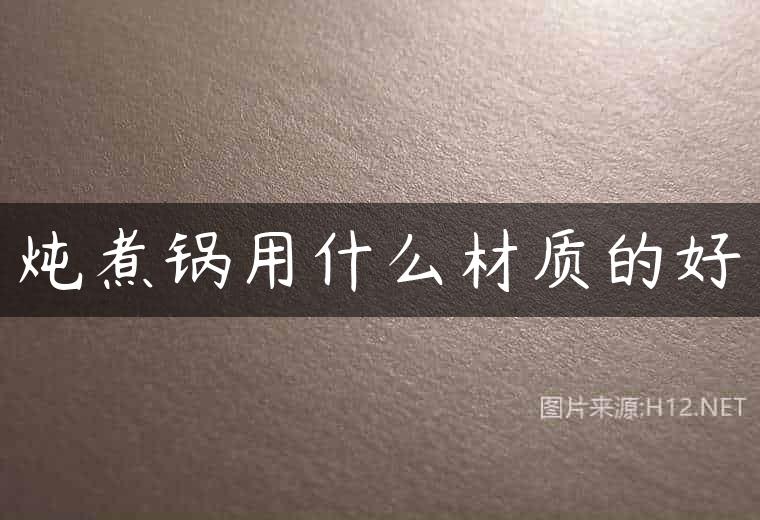 炖煮锅用什么材质的好