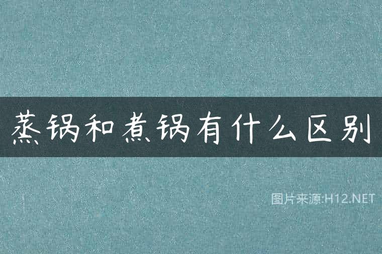 蒸锅和煮锅有什么区别