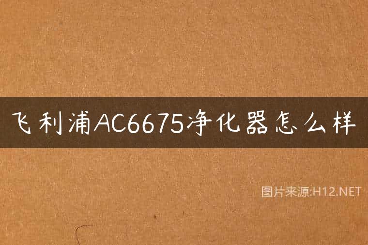 飞利浦AC6675净化器怎么样