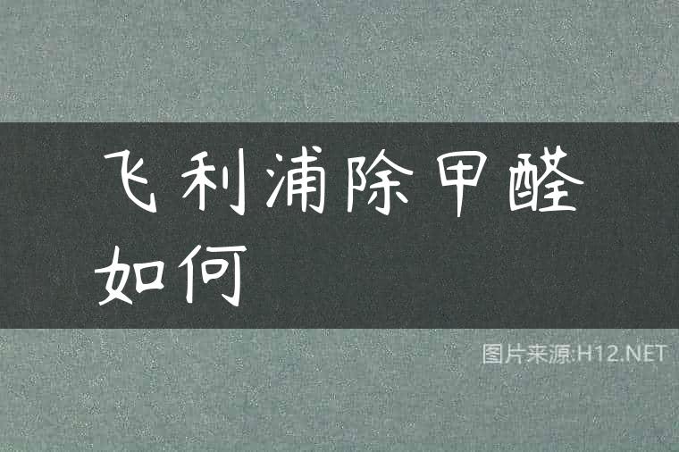 飞利浦除甲醛如何