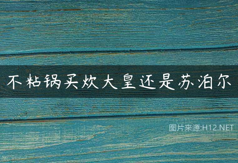 不粘锅买炊大皇还是苏泊尔