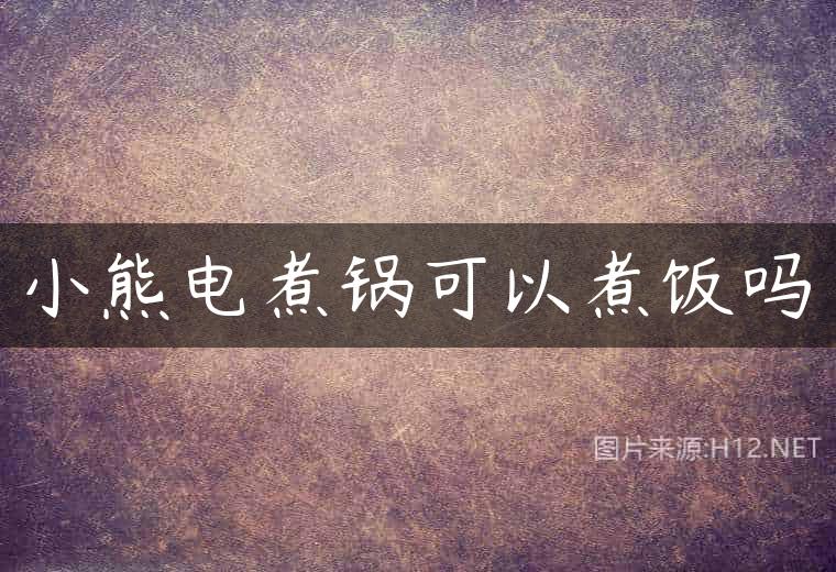 小熊电煮锅可以煮饭吗