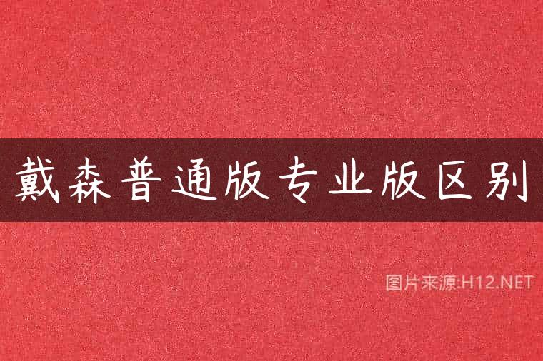 戴森普通版专业版区别