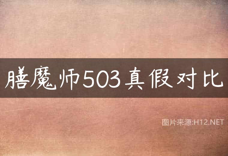 膳魔师503真假对比