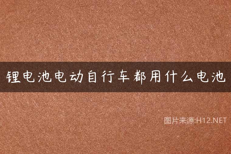 锂电池电动自行车都用什么电池