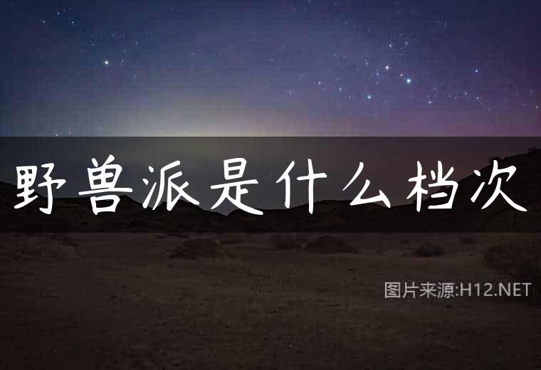 野兽派是什么档次