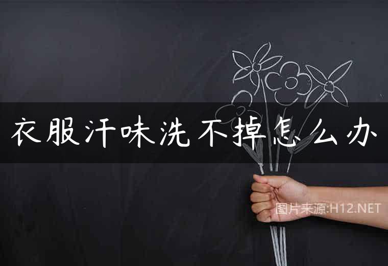 衣服汗味洗不掉怎么办