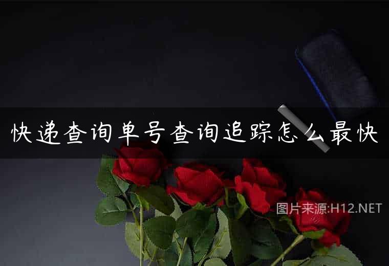 快递查询单号查询追踪怎么最快