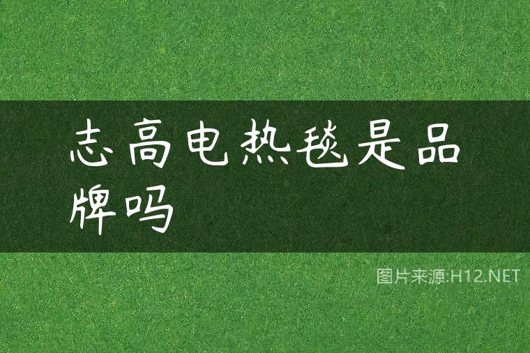 志高电热毯是品牌吗