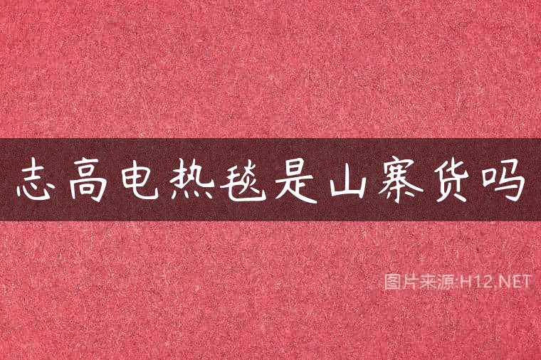 志高电热毯是山寨货吗