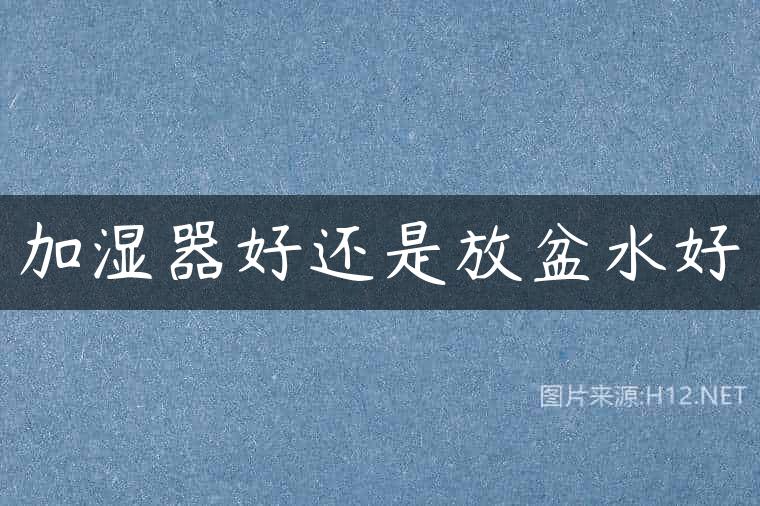 加湿器好还是放盆水好