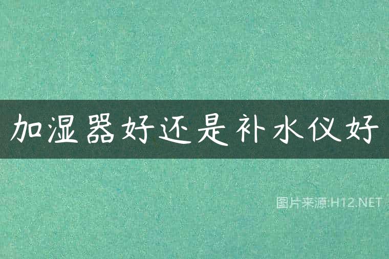 加湿器好还是补水仪好