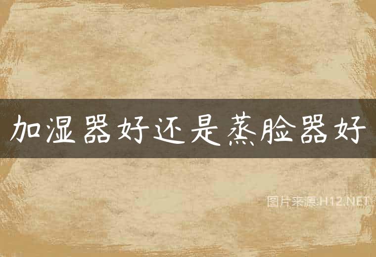 加湿器好还是蒸脸器好
